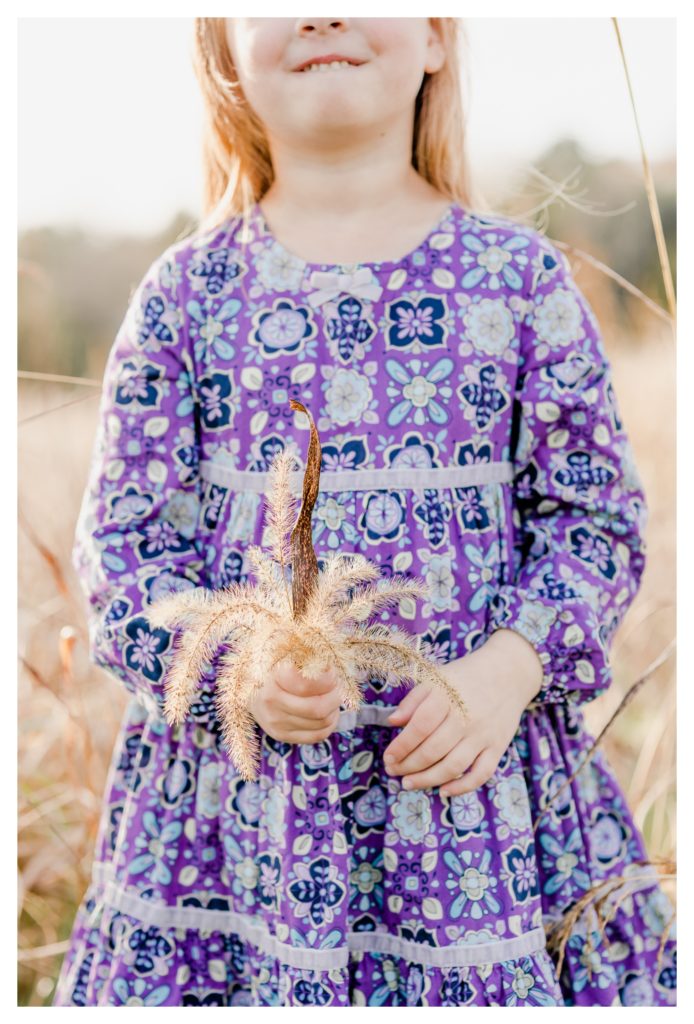 Fall Family/Lifestyle Photography Antietam MD - photo shoot little girl holding wild grasses