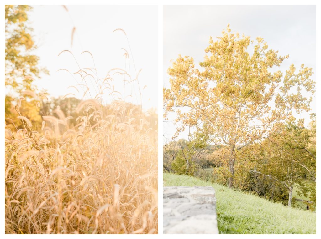 Romantic Anniversary Photos Antietam MD - fall field grasses and autumn tree