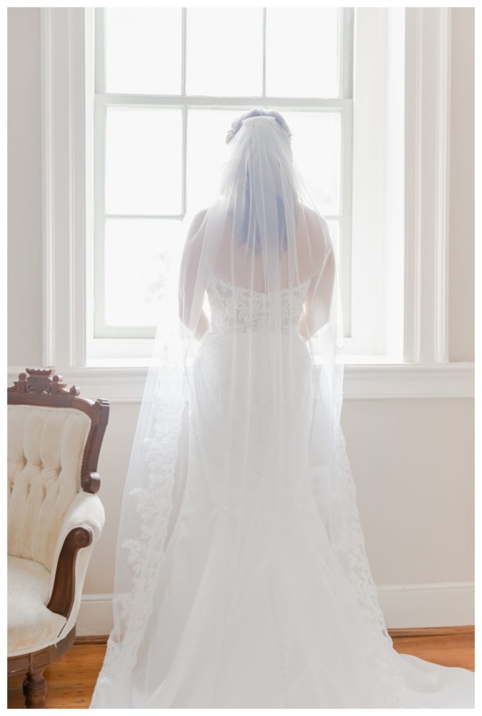 Elegant Springfield Manor Wedding Photography - bride from behind
