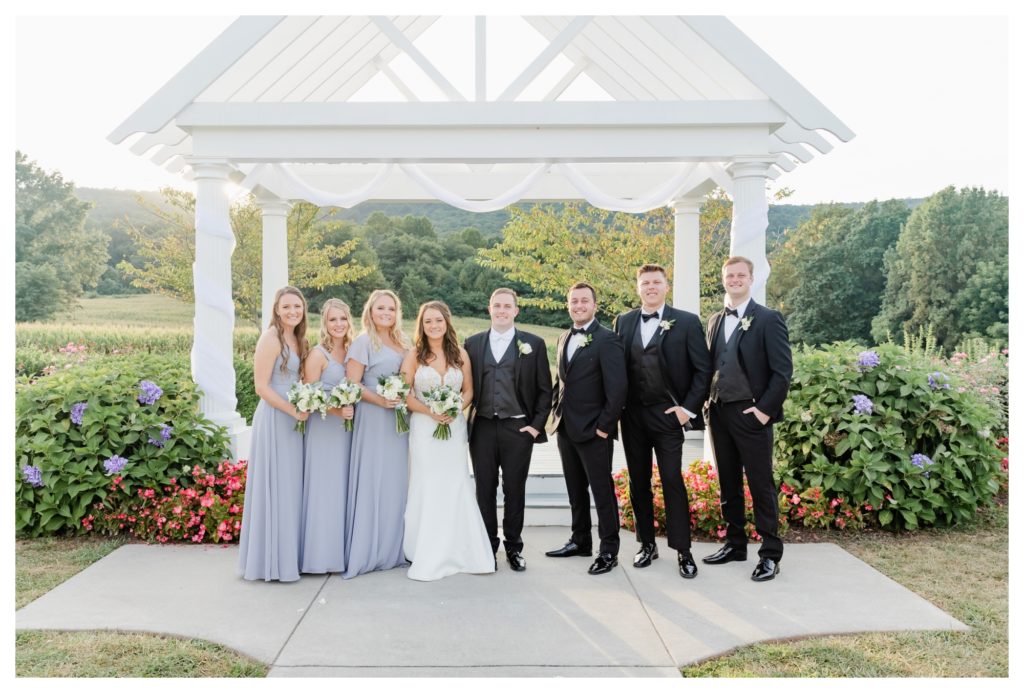 Elegant Springfield Manor Wedding Photography - wedding party portrait under gazebo